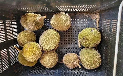 Mt Ophir Durian (Wholesale) image