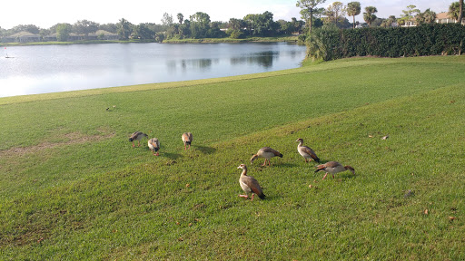 Golf Course «Golf Club Of Jupiter Inc», reviews and photos, 1800 Central Blvd, Jupiter, FL 33458, USA
