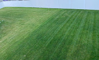 AllGreen Lawn Tree & Mosquito - Photo 9 - Car repair in Norwood, MA, Boston