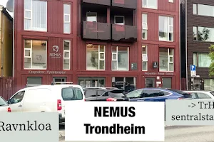 NEMUS Trondheim image