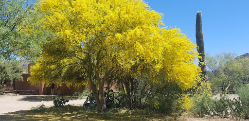 Theme Park «Old Tucson», reviews and photos, 201 Kinney Rd, Tucson, AZ 85735, USA