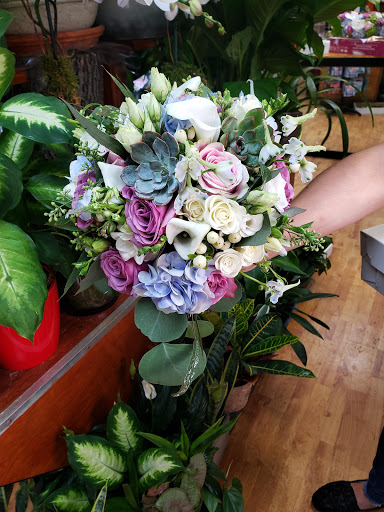 Florist «Alborada Florist», reviews and photos, 17 Huguenot St, New Rochelle, NY 10801, USA