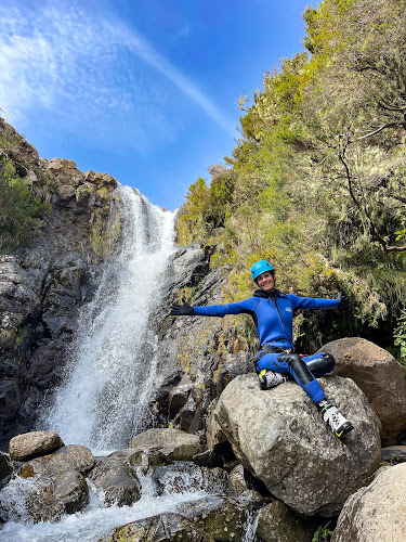 Avaliações doBe Local Madeira em Torres Vedras - Agência de viagens