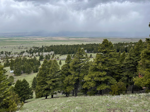 North Cottonwood Access Trailhead