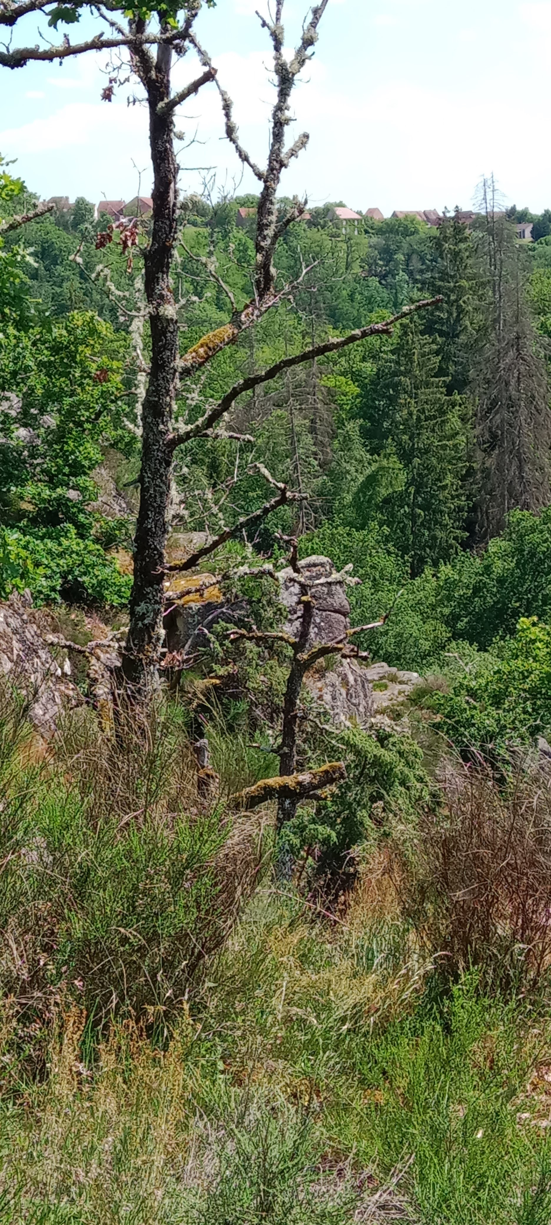Photo n° 2 de l'avis de Berangere.a fait le 01/06/2023 à 11:20