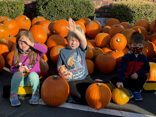 Personal Injury Attorney «Ritchie-Reiersen Injury & Immigration Attorneys», reviews and photos