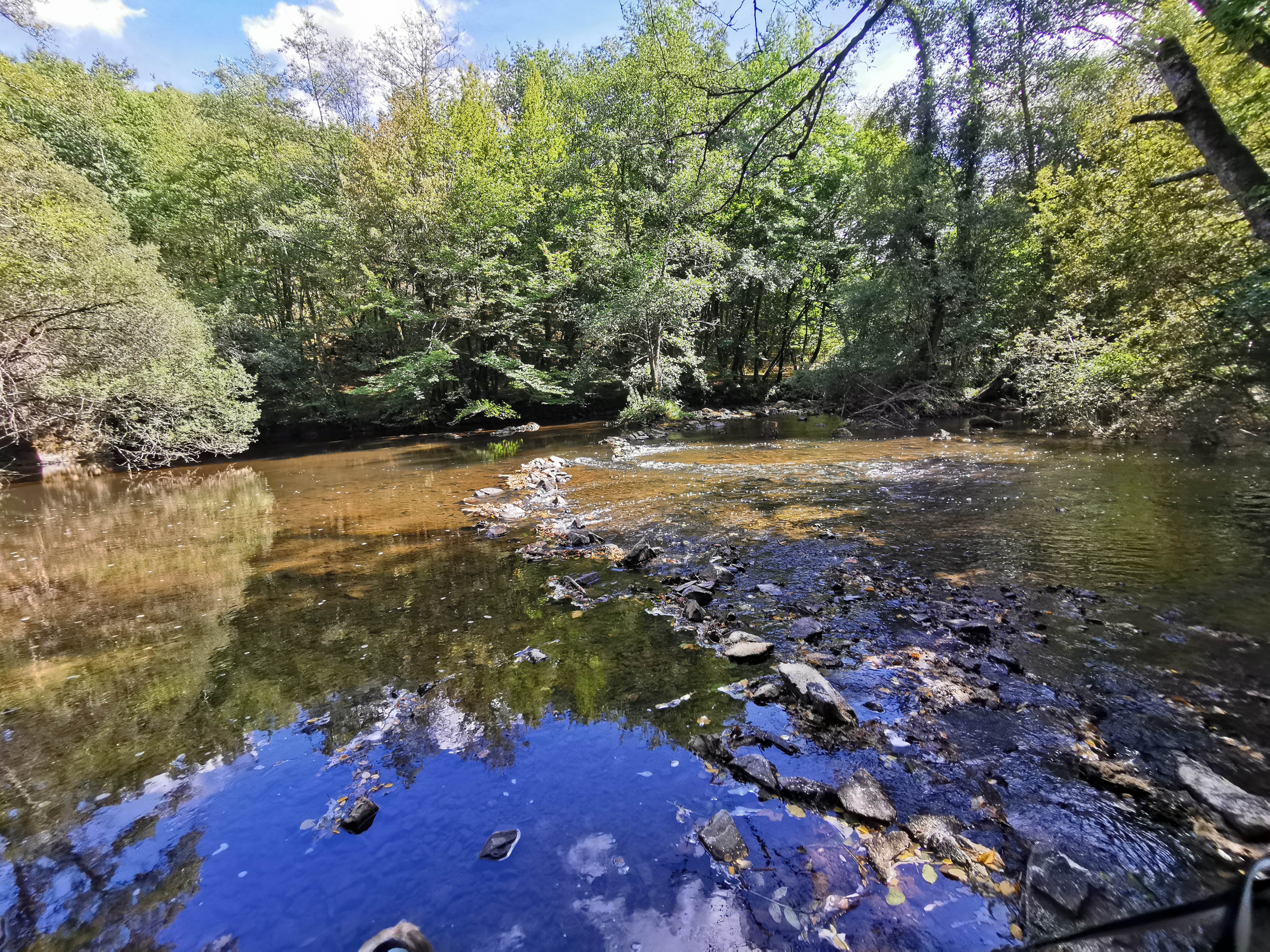 Photo n° 6 de l'avis de veronique.z fait le 10/09/2022 à 16:00