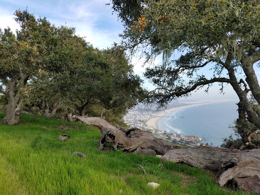 Nature Preserve «Pismo Preserve», reviews and photos, Mattie Rd, Pismo Beach, CA 93449, USA