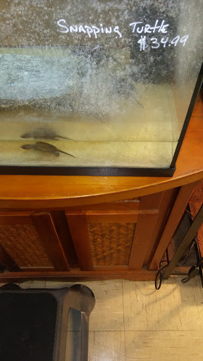 Pet Store «Species Pet Supply», reviews and photos, 1935 W Brandon Blvd, Brandon, FL 33511, USA