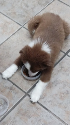 Harley-Davidson Dealer «Iron Nation Harley-Davidson», reviews and photos, 3433 S Broadway, Edmond, OK 73013, USA