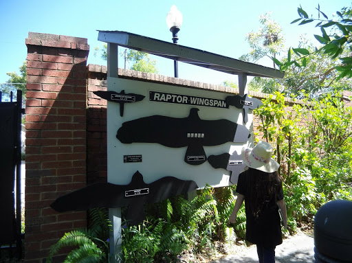 Zoo «Audubon Center for Birds of Prey», reviews and photos, 1101 Audubon Way, Maitland, FL 32751, USA