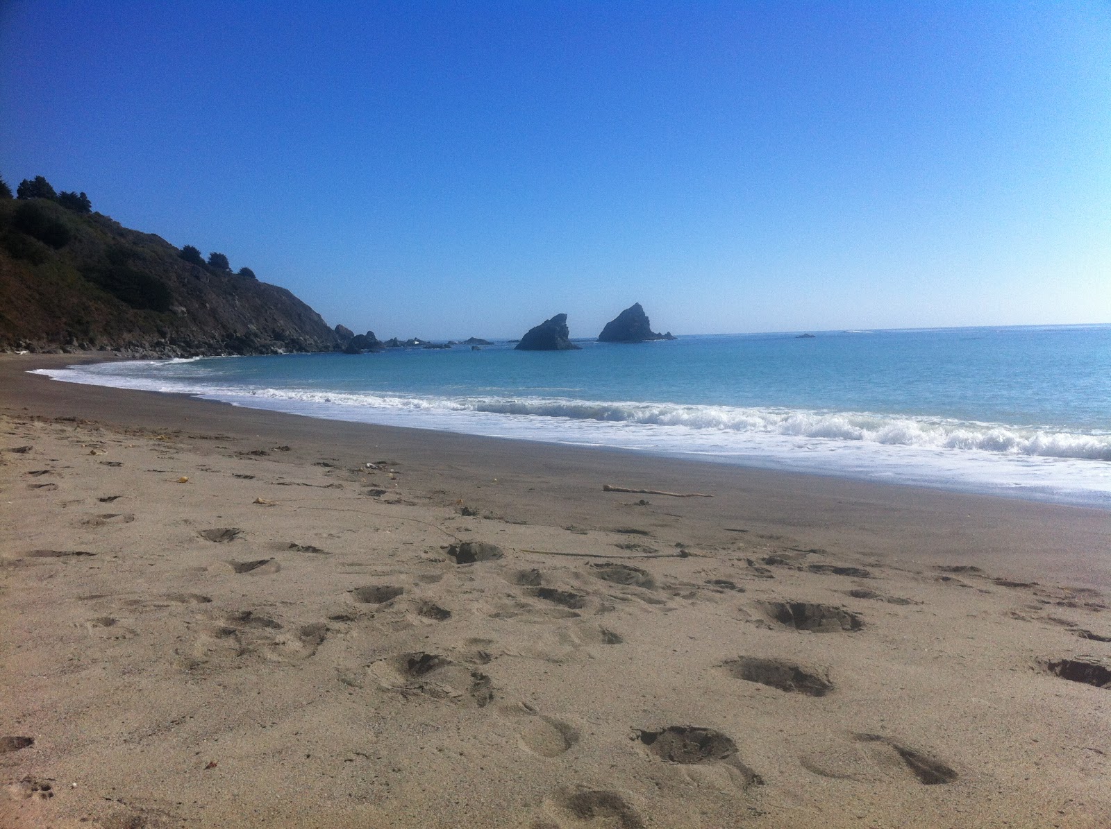 Foto von Navarro Beach mit sehr sauber Sauberkeitsgrad
