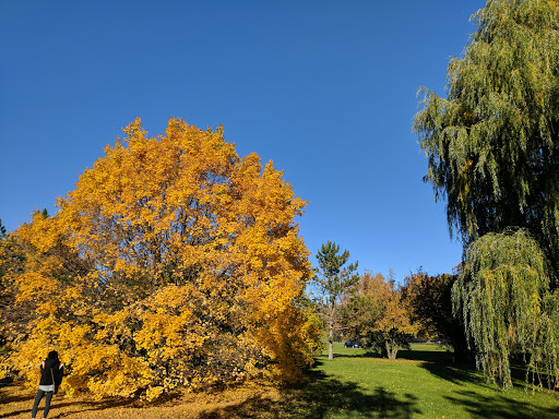 Park «Delaware Park», reviews and photos, Meadow Dr, Buffalo, NY 14214, USA