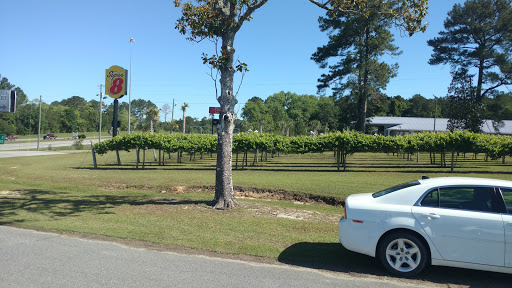 Vineyard «Chautauqua Vineyard & Winery», reviews and photos, 364 Hugh Adams Rd, Defuniak Springs, FL 32435, USA