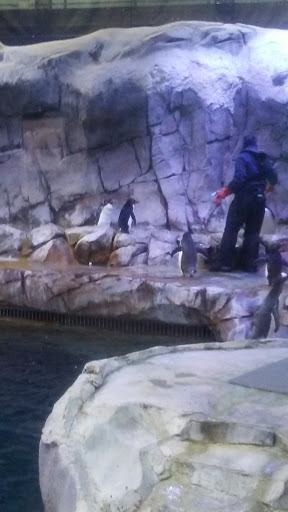 Animal Park «Detroit Zoo Safari Station Exit», reviews and photos, Ludlow Pl, Huntington Woods, MI 48070, USA