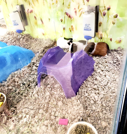 Pet Supply Store «Petco Animal Supplies», reviews and photos, 1483 NJ-23 #14b, Kinnelon, NJ 07405, USA
