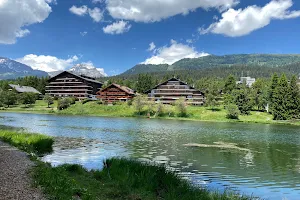 Etang de la Moubra image