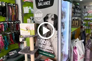 Interzoo Cardenal Benlloch - Valencia 🐶🐱🐭 Peluquería Canina | Productos para mascotas | Comprar pienso para perros y gatos image
