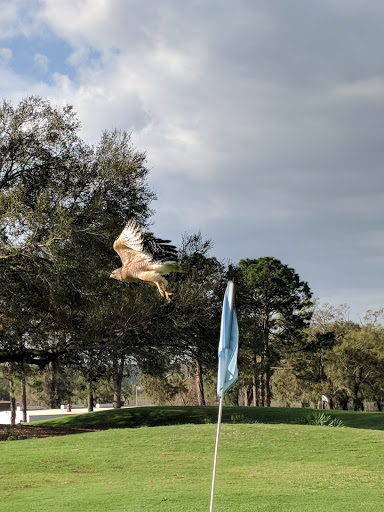 Public Golf Course «Hilaman Golf Course», reviews and photos, 2737 Blair Stone Rd, Tallahassee, FL 32301, USA