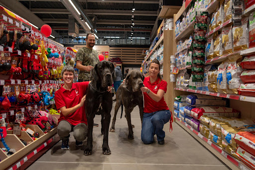 Kiwoko Mundo Animal - Torrelavega