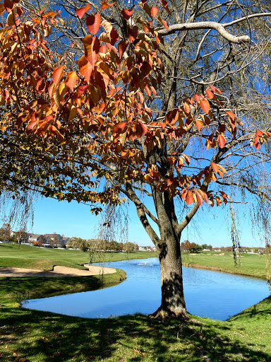 Golf Course «Willow Creek Golf & Country Club - NY», reviews and photos, 1 Clubhouse Dr, Mt Sinai, NY 11766, USA