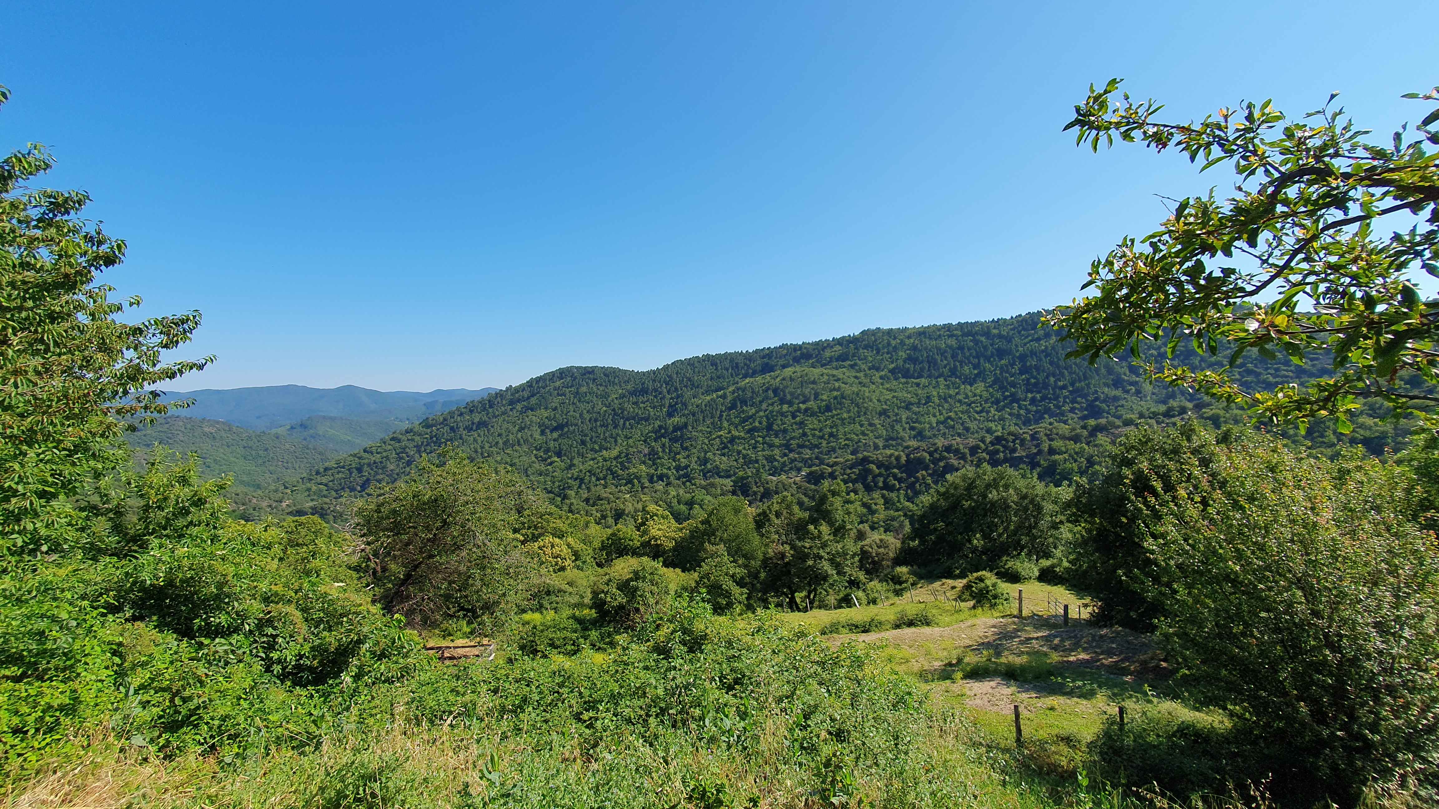 Photo n° 1 de l'avis de Jean-Baptiste.a fait le 25/06/2023 à 11:22