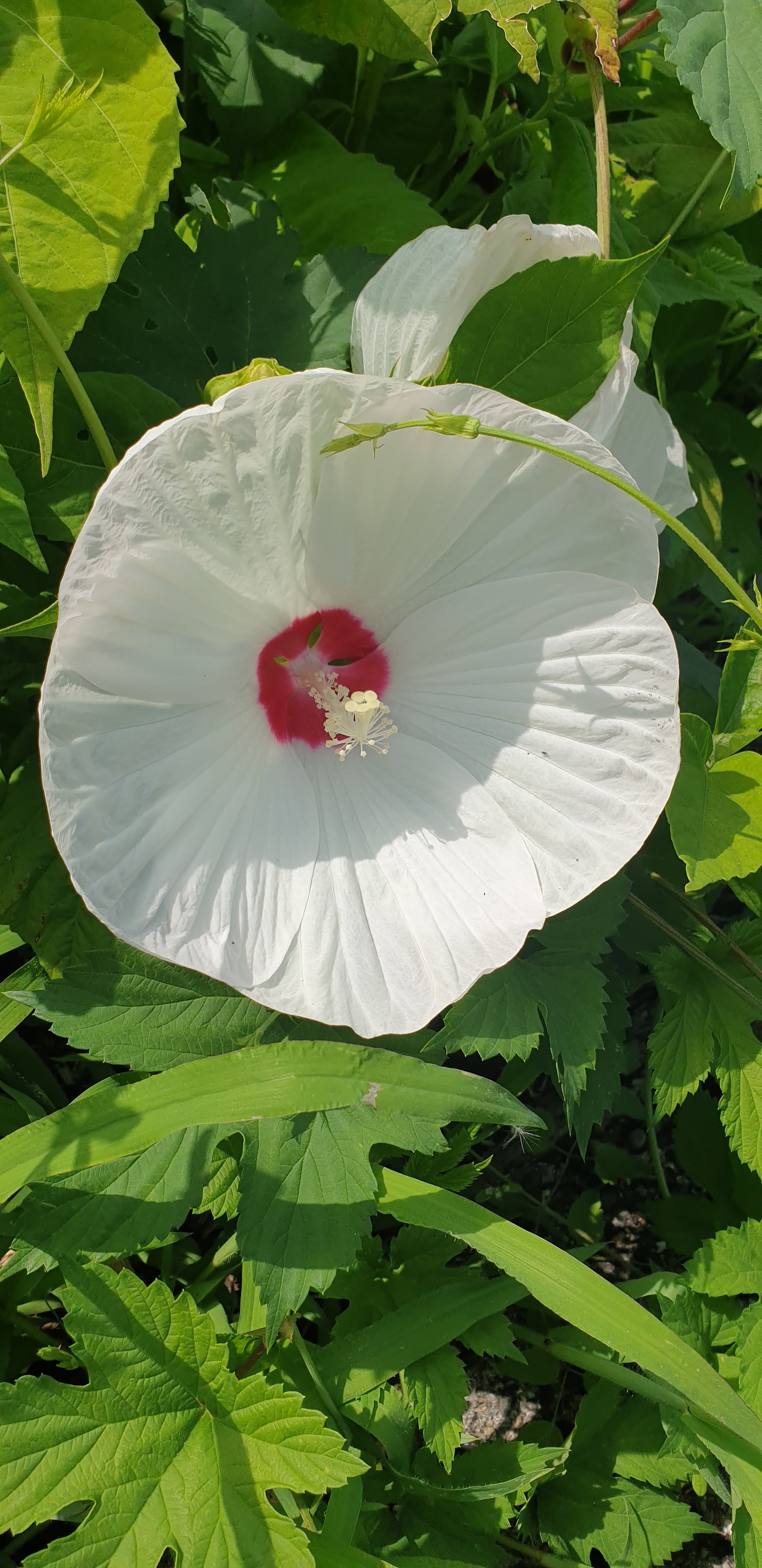 Photo n° 2 de l'avis de Marie.r fait le 31/07/2023 à 08:04