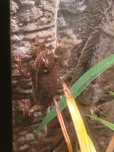 Pet Store «Fish & More Pet Store», reviews and photos, 310 E Main St #8, Sylva, NC 28779, USA