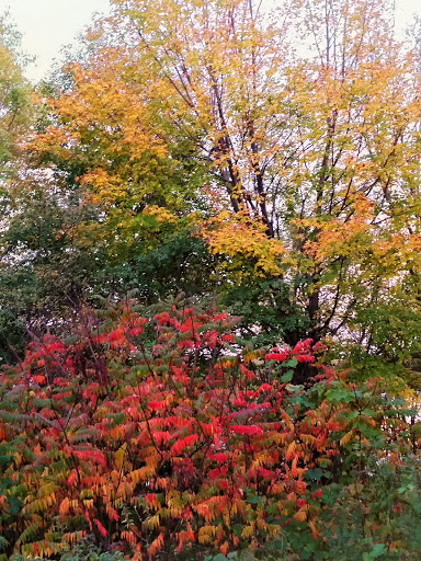 Park «Coon Rapids Dam Regional Park», reviews and photos, 9750 Egret Blvd NW, Coon Rapids, MN 55433, USA