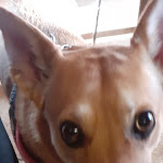 Photo n°4 de l'avis de Manu.a fait le 06/06/2021 à 20:41 sur le  Le Bontà Del Passo à Minucciano