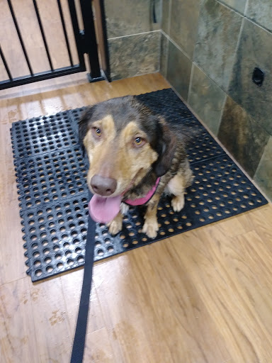 Pet Supply Store «Pet Valu», reviews and photos, 200 Biggs Blvd, Harrison, OH 45030, USA