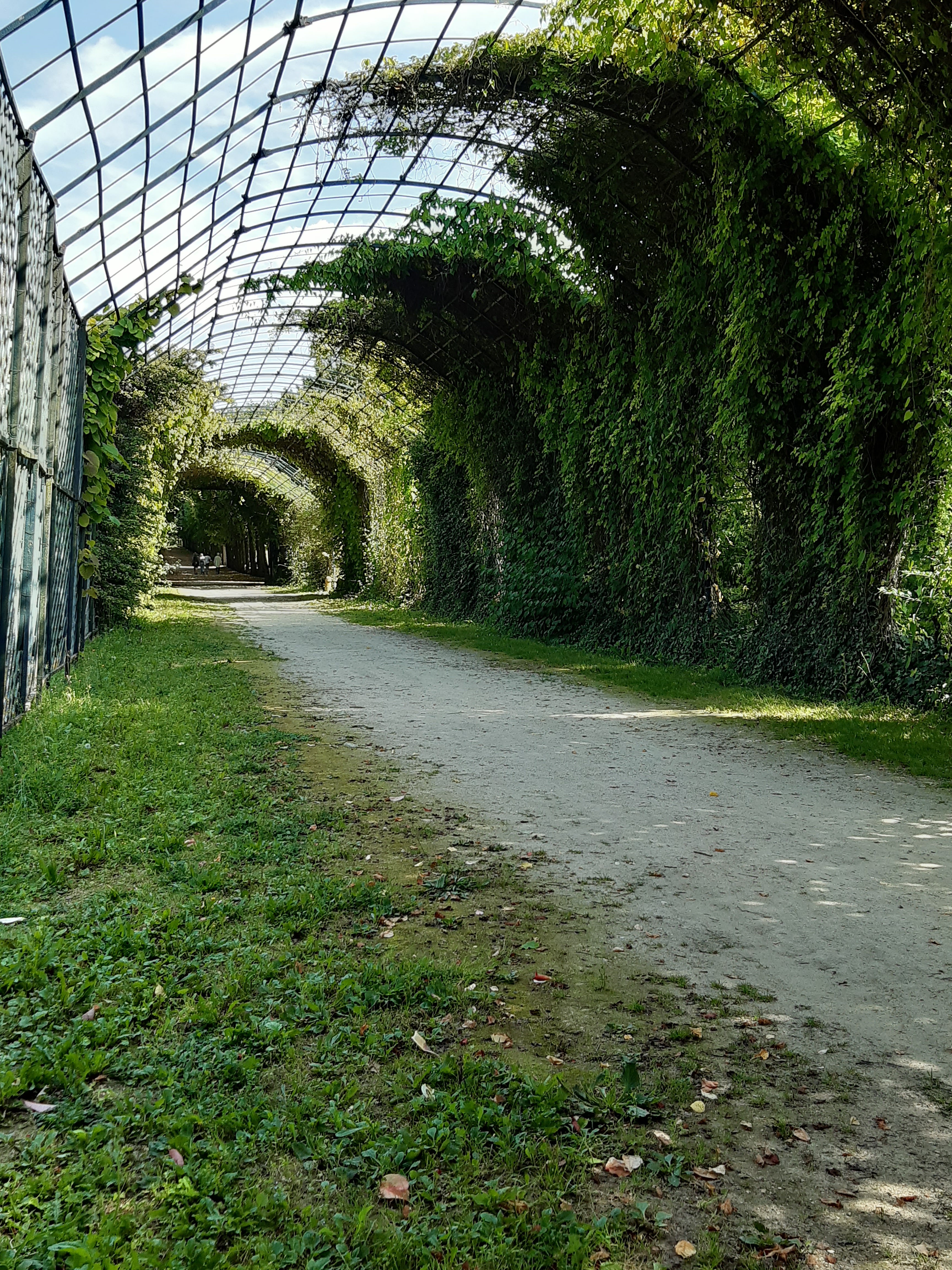 Photo n° 2 de l'avis de Anne.D fait le 18/08/2021 à 13:16