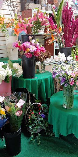 Florist «Mystic Garden Florist», reviews and photos, 2626 Ocean Ave, San Francisco, CA 94132, USA