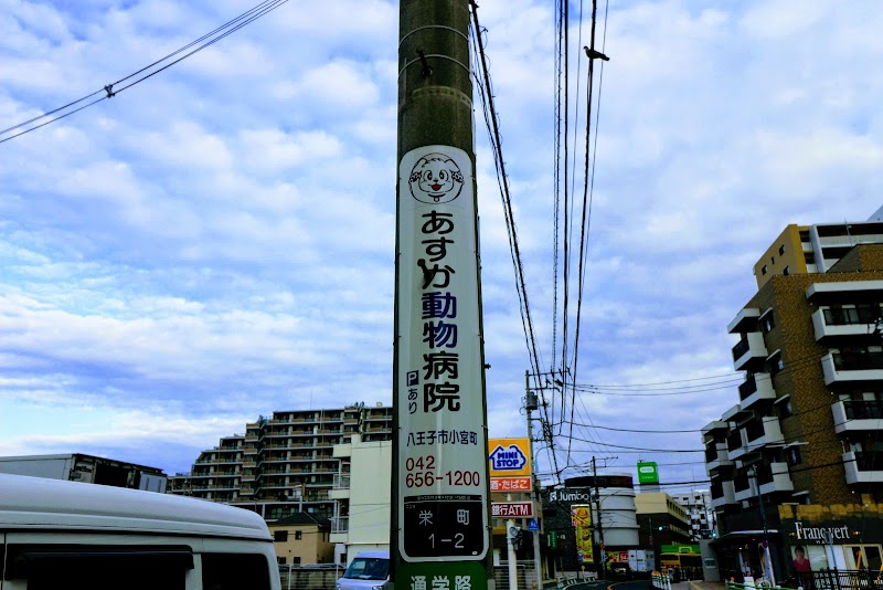 あすか動物病院 東京都八王子市小宮町 動物病院 動物病院 グルコミ