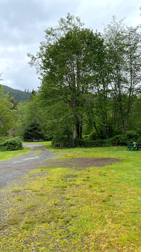 Campground «Hard Rain Cafe», reviews and photos, 5763 Upper Hoh Rd, Forks, WA 98331, USA