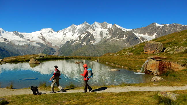 Rezensionen über Valais/Wallis Promotion in Sitten - Werbeagentur