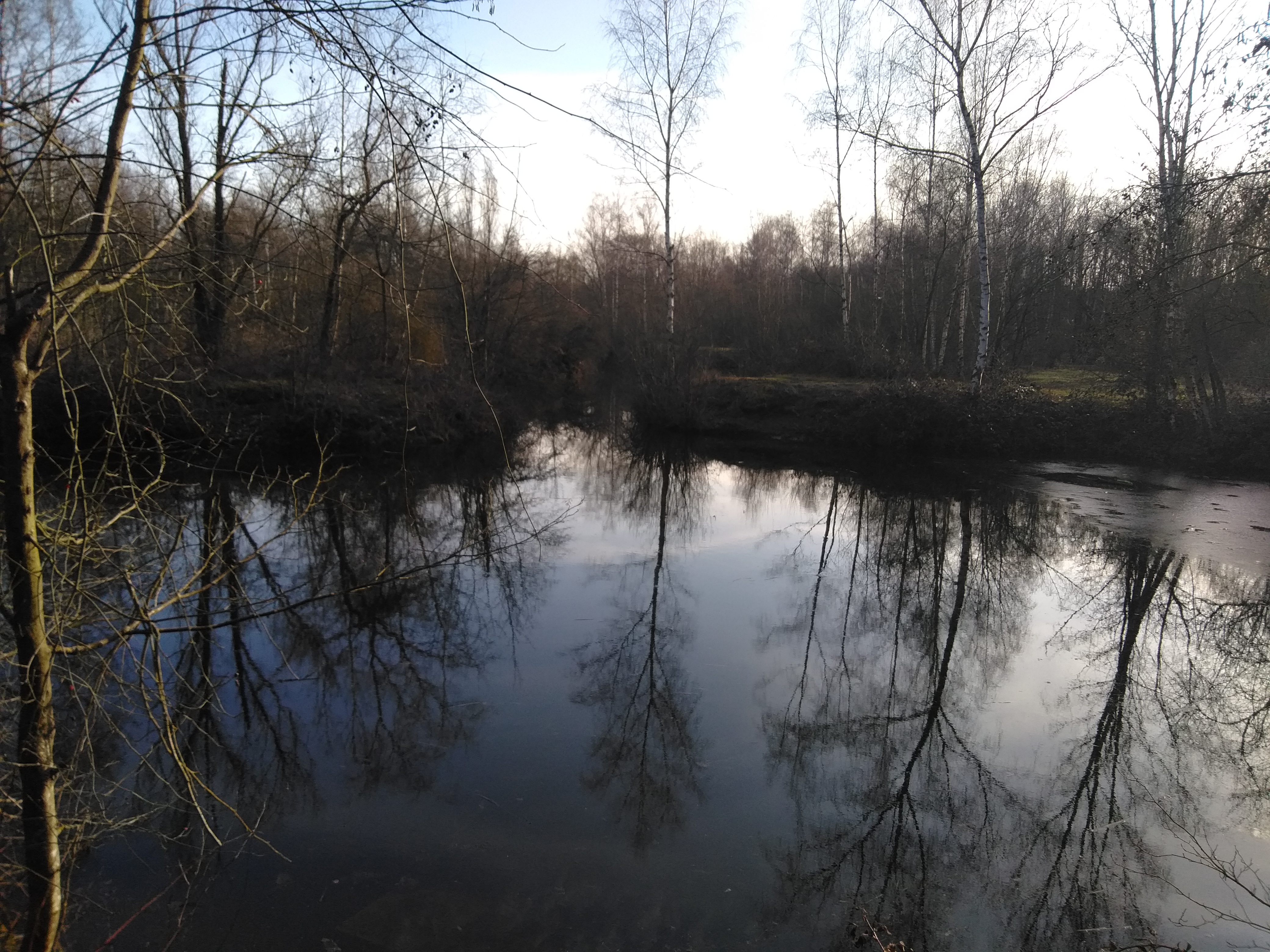 Photo n° 1 de l'avis de Christophe.h fait le 23/02/2021 à 17:37