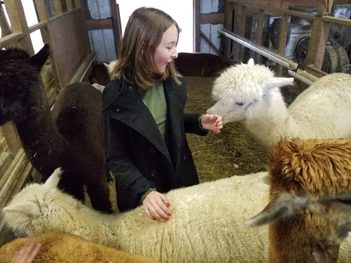 Farm «Painted Sky Alpaca Farm & Fiber Mill», reviews and photos, 95 Knight House Ln, Earleville, MD 21919, USA