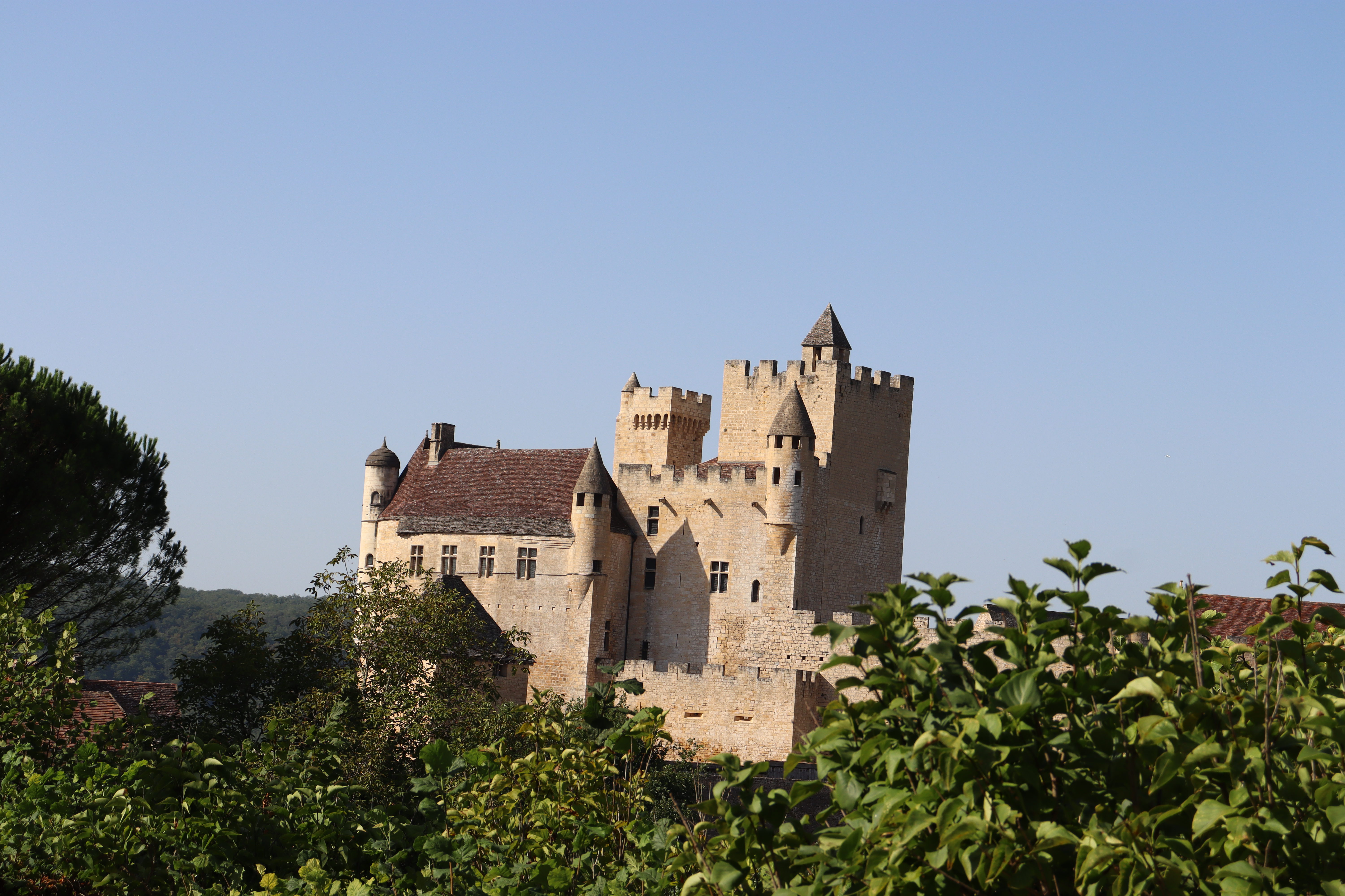 Photo n° 1 de l'avis de Mathys.B fait le 23/08/2023 à 12:43