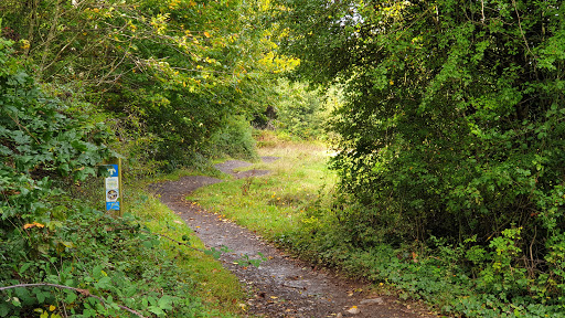 Ashton Court Mountain Biking Trail