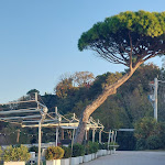 Photo n°3 de l'avis de Magdalena.e fait le 13/11/2022 à 15:12 sur le  Gibas à Pesaro