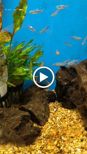 Pet Supply Store «Petco», reviews and photos, 590 E Waterfront Dr, Homestead, PA 15120, USA