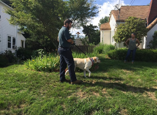 Moriarty's Fence Company | Portsmouth RI