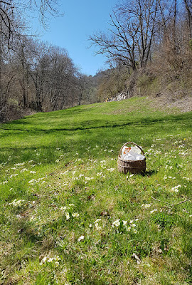 le jardin d'yzeron à Yzeron