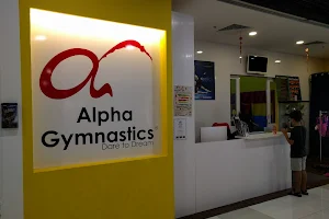 Alpha Gymnastics Pte Ltd image
