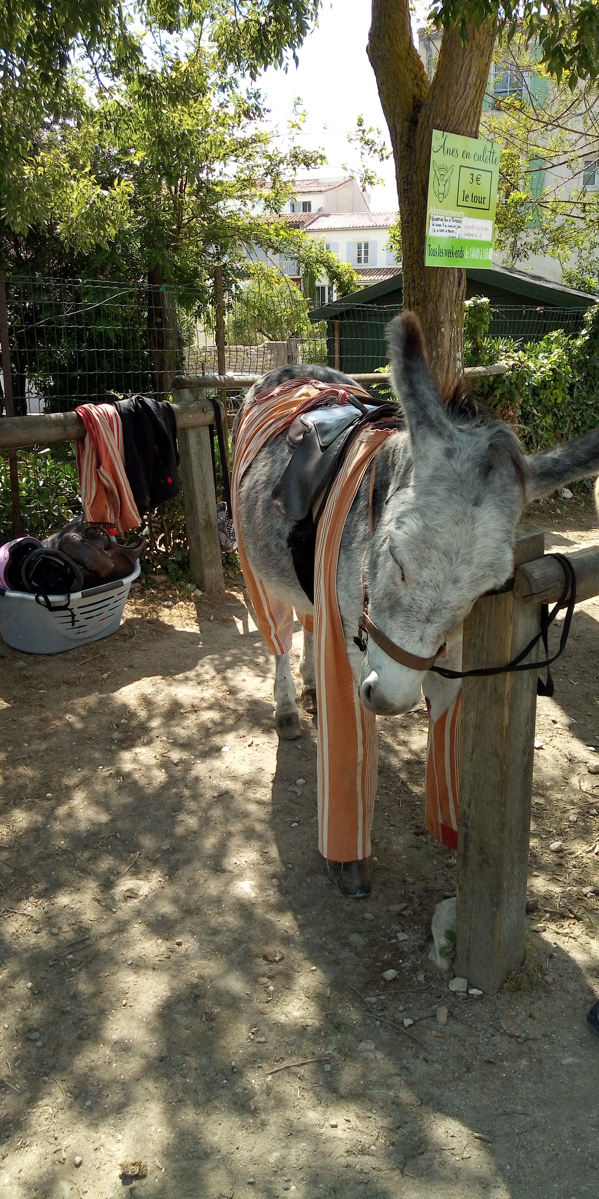 Photo n° 2 de l'avis de Laura.u fait le 10/06/2019 à 20:43