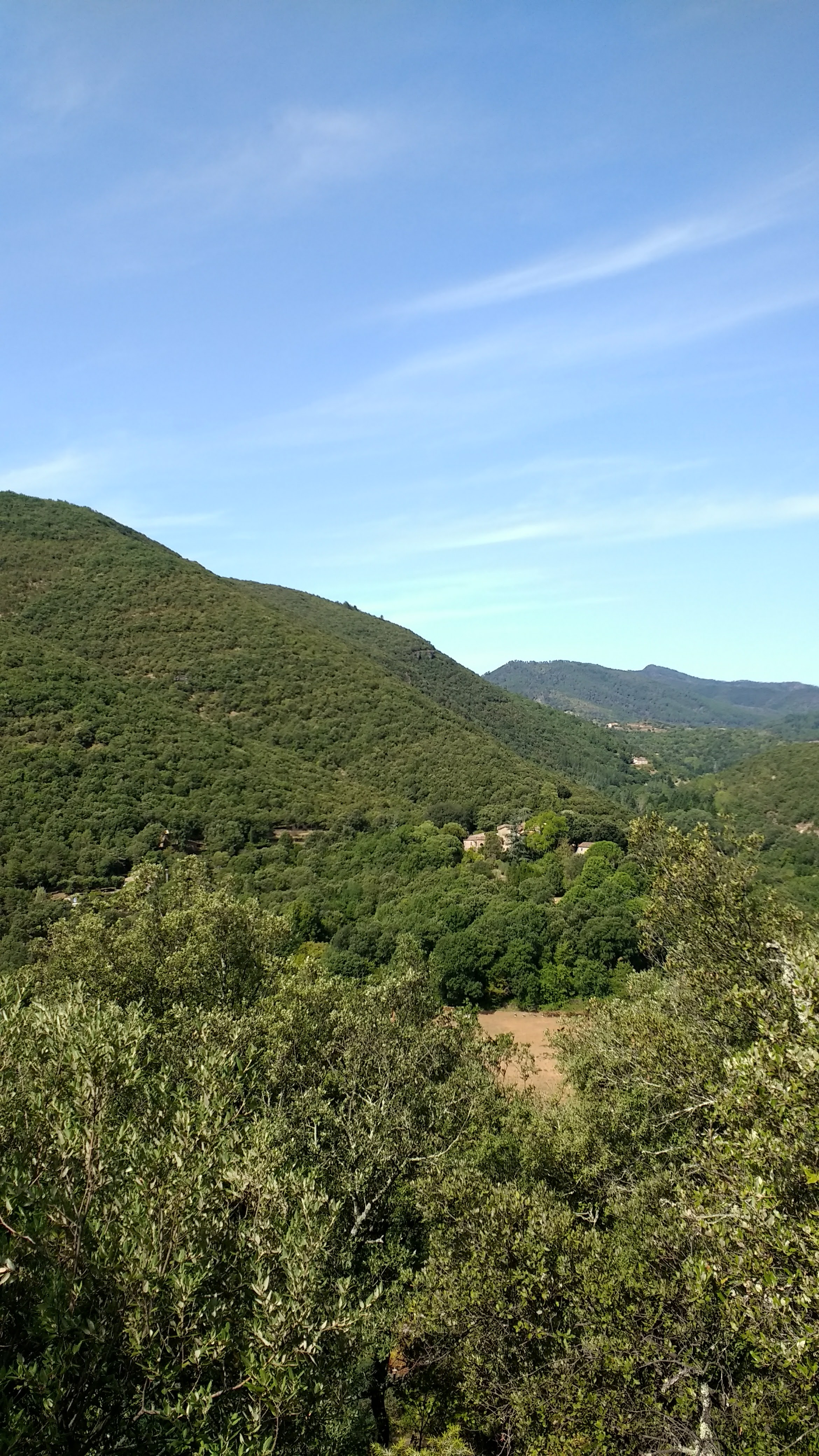 Photo n° 7 de l'avis de Hotze.i fait le 30/08/2017 à 09:22