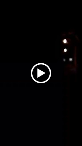 Florist «Tulipomania LLC», reviews and photos, 319 E Howard Ave, Milwaukee, WI 53207, USA