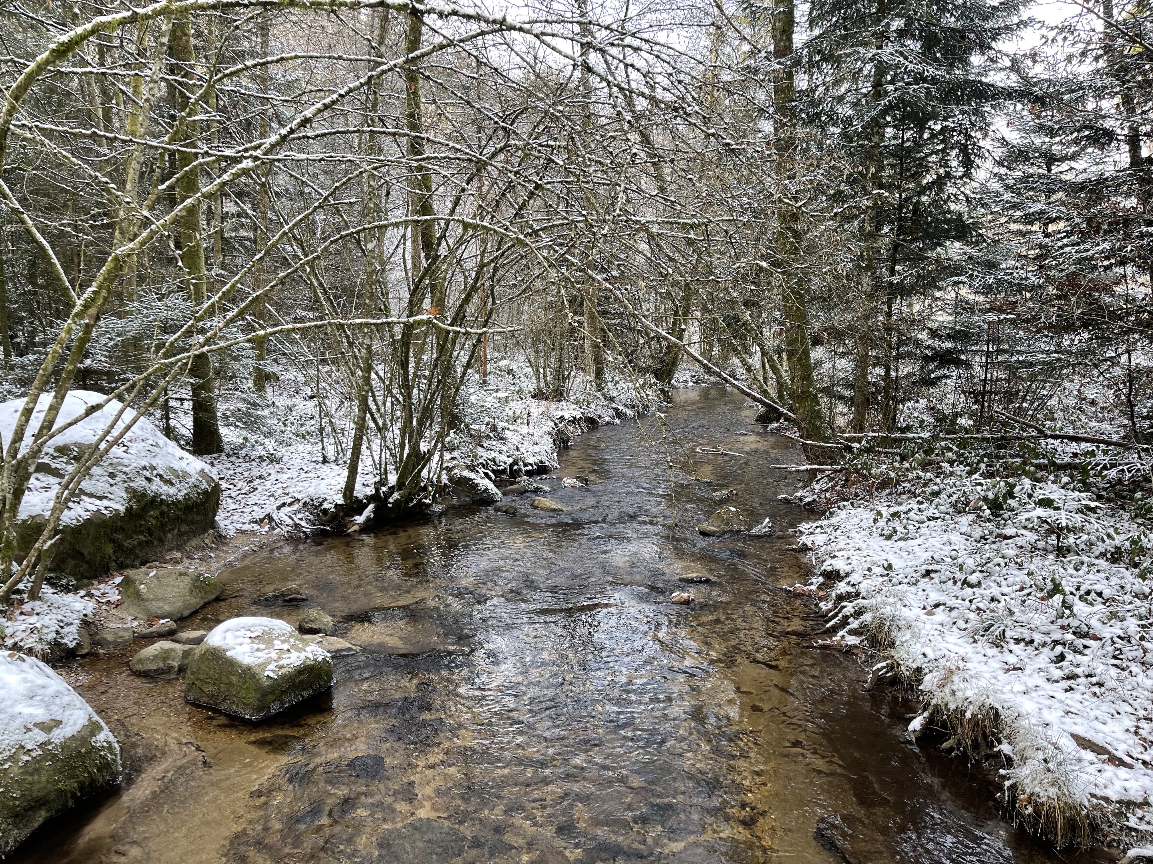 Photo n° 6 de l'avis de Geoffrey. fait le 13/12/2022 à 15:54