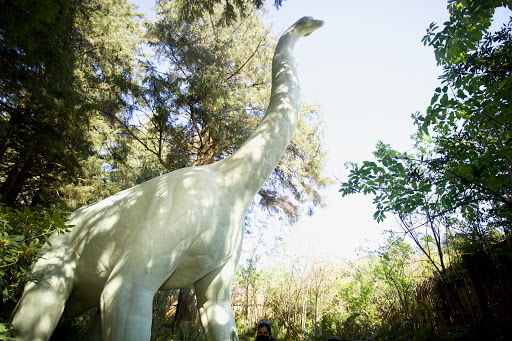 Tourist Attraction «Prehistoric Gardens», reviews and photos, 36848 US-101, Port Orford, OR 97465, USA